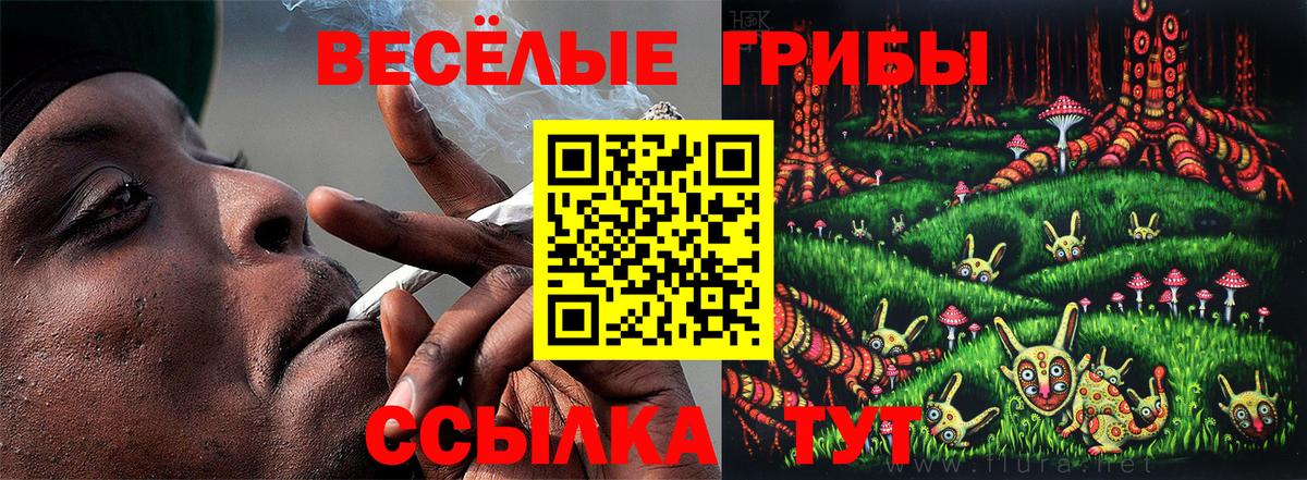 Красноуфимск  где купить наркотик  Псилоцибиновые грибы MAGIC MUSHROOMS  Вход с VPN  Псилоцибиновые грибы GOLDEN TEACHER 